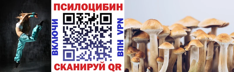 Псилоцибиновые грибы Psilocybine cubensis  Купить  Нытва 